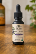 BillBerry (vaccinium myrtillus )