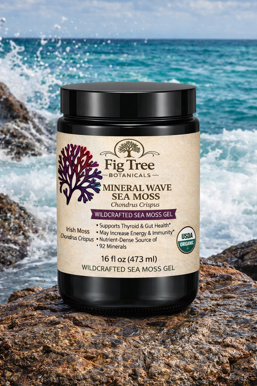 Mineral Wave Sea Moss Gel – 16oz Wildcrafted Purple Irish Moss